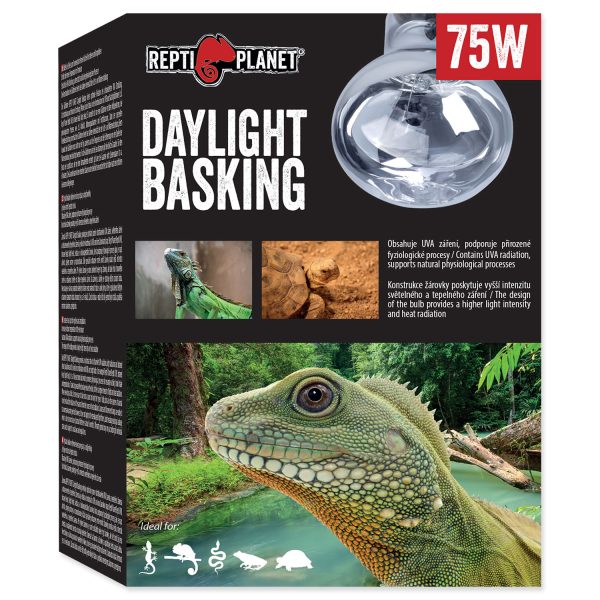 Žárovka REPTI PLANET Daylight Basking Spot 75 W - Image 3