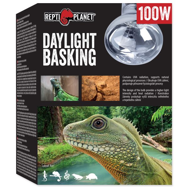 Žárovka REPTI PLANET Daylight Basking Spot 75 W - Image 4