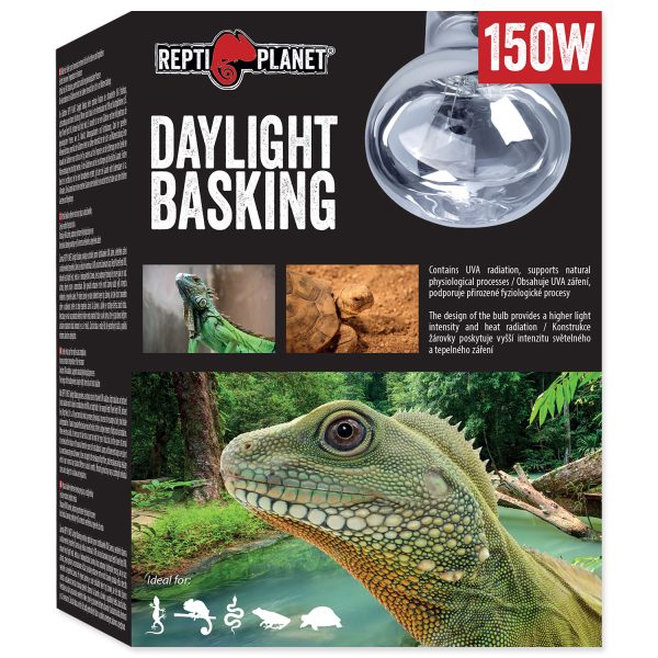 Žárovka REPTI PLANET Daylight Basking Spot 75 W - Image 5