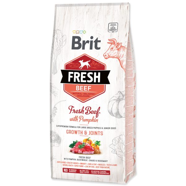 BRIT Fresh Beef with Pumpkin Puppy Large 12 kg