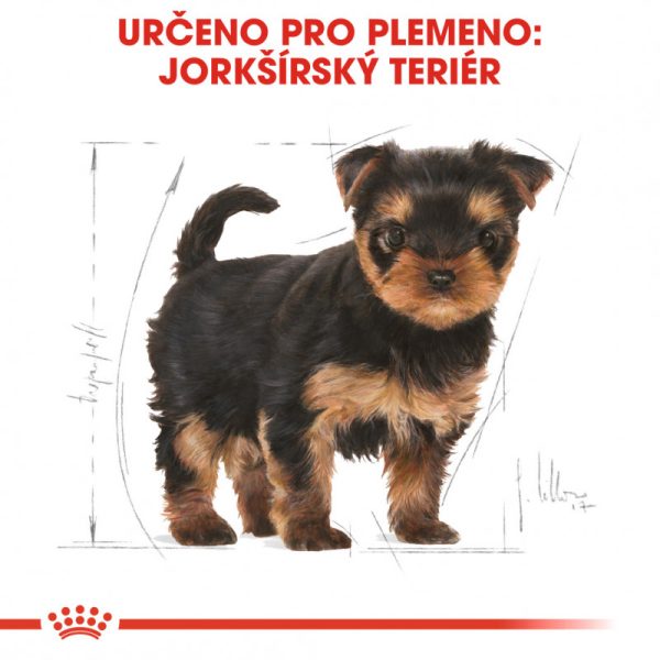 Yorkshire Puppy granule pro štěně jorkšíra 500g - Image 6