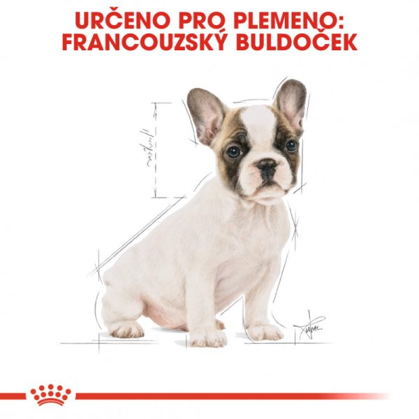 French Bulldog Puppy granule pro štěně francouzského buldočka 3 kg - Image 4