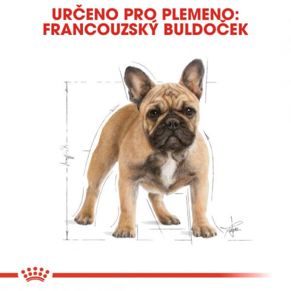 French Bulldog Adult granule pro dospělého francouzského buldočka 9 kg - Image 4