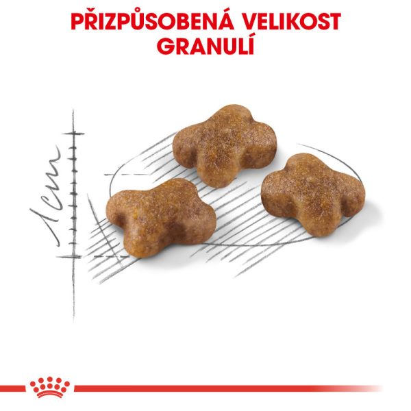 Kitten granule pro koťata 4 kg - Image 13