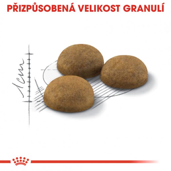 Indoor Longhair granule pro dlouhosrsté dospělé kočky, chované v bytě 10 kg - Image 4