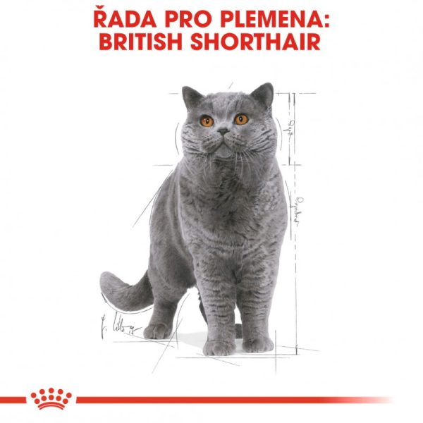 British Shorthair Gravy kapsička pro britské krátkosrsté kočky ve šťávě 85g - Image 3