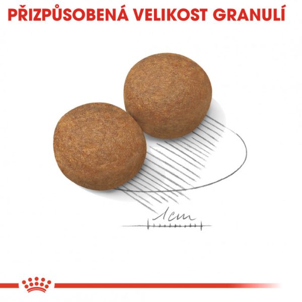 Maxi Adult granule pro dospělé velké psy 4 kg - Image 4