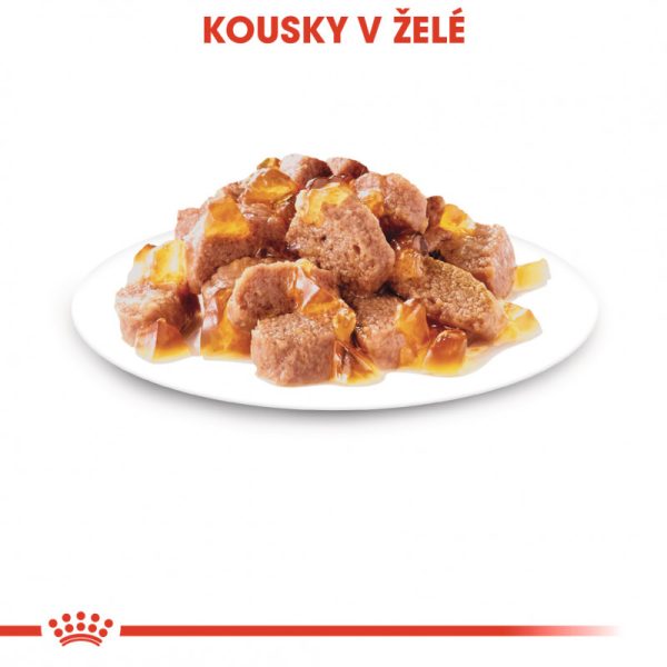 Ageing +12 Jelly kapsička pro staré kočky v želé 85g - Image 3