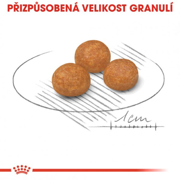 X-Small Adult granule pro dospělé trpasličí psy 3 kg - Image 4