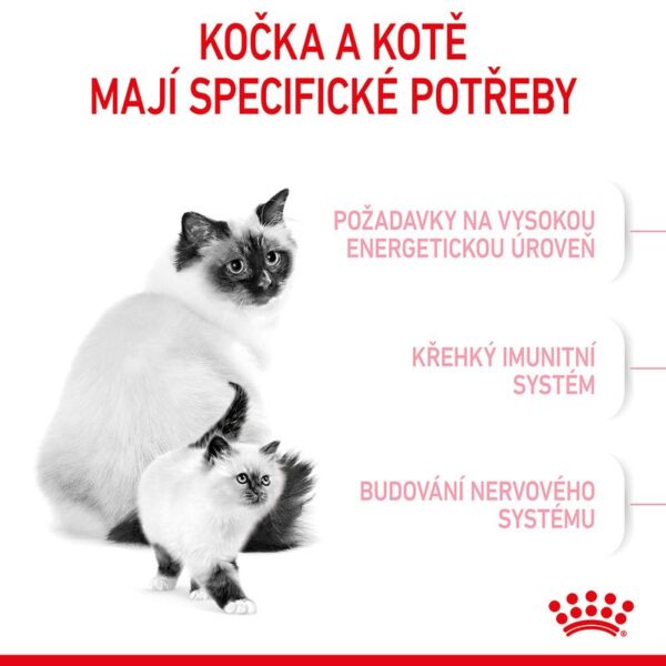 Royal Canin Mother & Babycat 2kg - Image 4