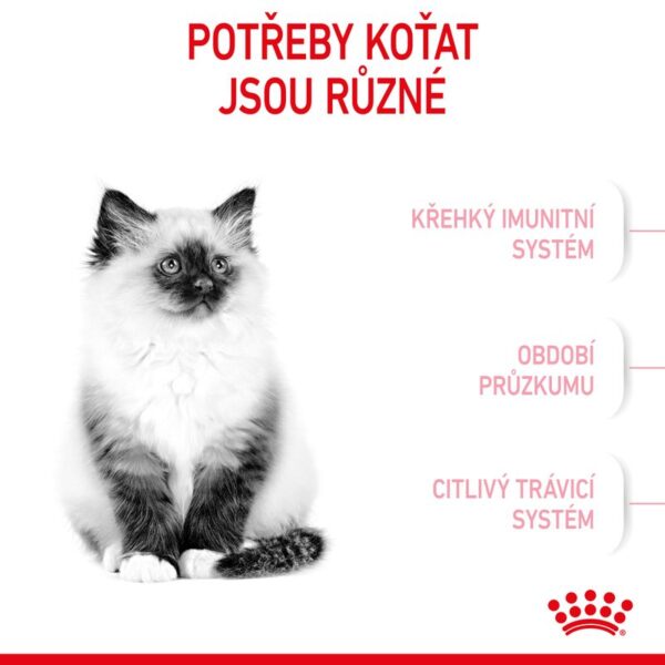 Kitten granule pro koťata 10 kg - Image 10