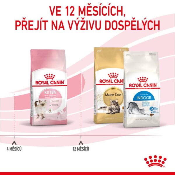 Kitten granule pro koťata 2 kg - Image 4