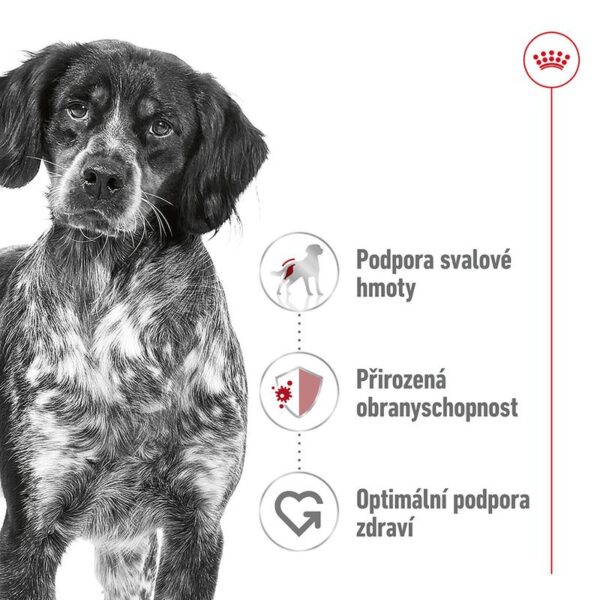 Royal Canin Medium Adult v omáčce 140g - Image 3